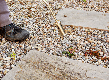 Eine Person brennt Unkraut ab.